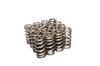 COMP Cams Valve Springs Ford 4.6L 4 Valve thumbnail 7