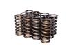 COMP Cams Valve Springs 0.940in Inner B thumbnail 6